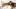 Böhlerleben 650X277
